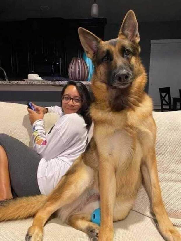 Кажется, показалось