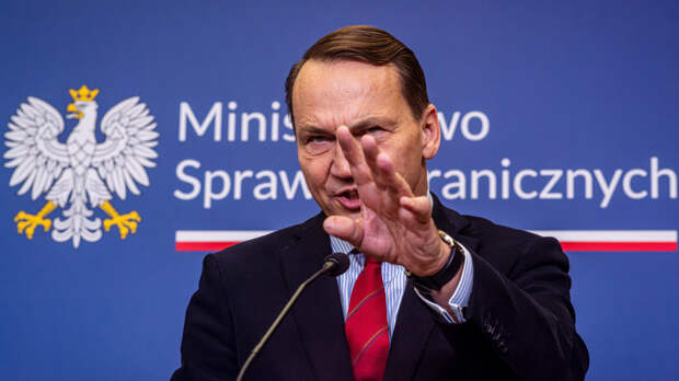 Глава МИД Польши Сикорский призвал страну готовиться к войне