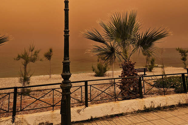 SHOT: российские туристы бегут с пляжей Хургады из-за сильнейшей песчаной бури