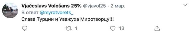 «Миротворец» выкладывает данные турков, которые сотрудничали с Россией