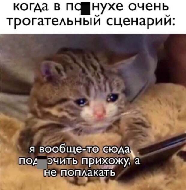 Мемы и приколы на &quot;щекотливую&quot; тему