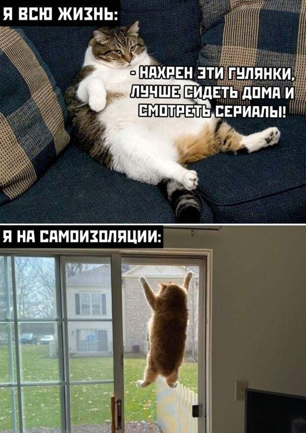 1587051699_kartinki-38.jpg