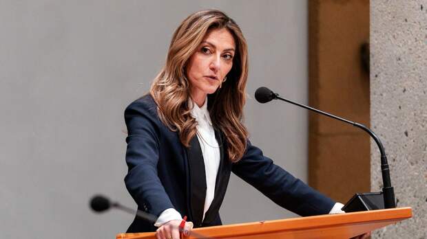 Новая министр обороны Нидерландов высказалась об отправке военных на Украину