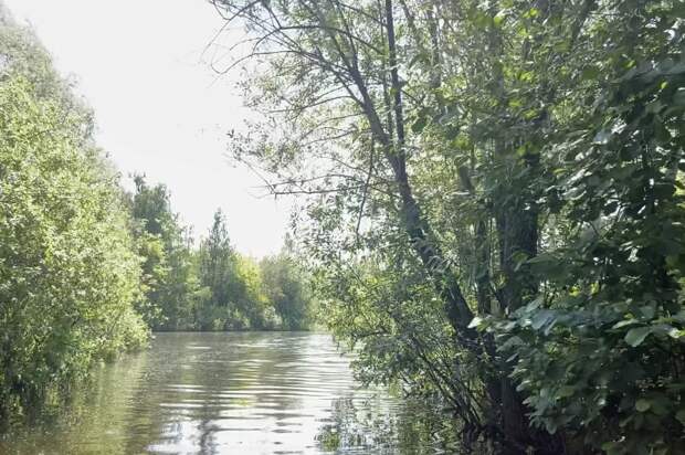 Пьяный житель Уренского района пытался перейти реку вброд и утонул