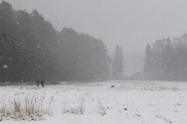 В Калуге ожидается мощный снегопад и усиление морозов