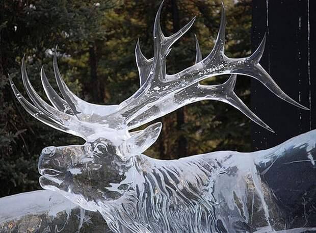 Олень - ледяная скульптура
