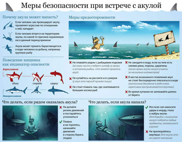 Грозные хищники морей и океанов