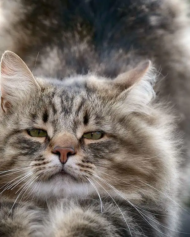 ������� ���� �� ��������� �� ������ ���������