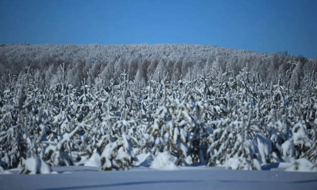 Лыжник бесследно пропал на озере Онега в Карелии