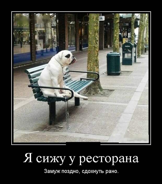 Демотиваторы (30 фото)
