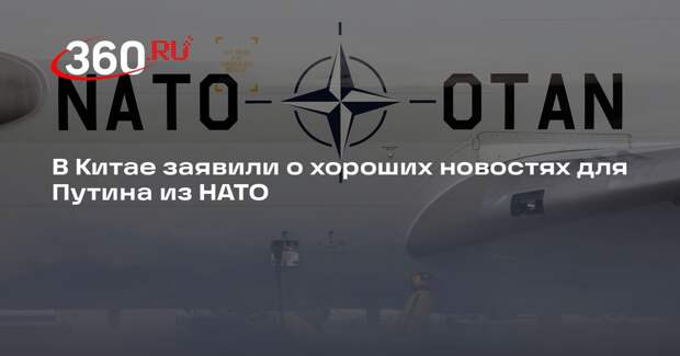Sohu: Путин получил хорошие новости из НАТО