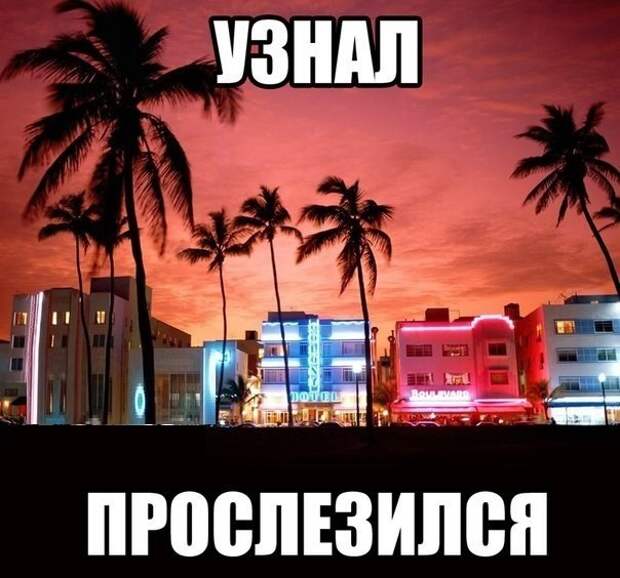 Смешные картинки с надписями прикол, юмор