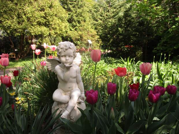 Тюльпаны Ботанического сада ждут гостей на традиционный бал в свою честь