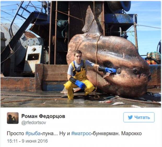 Познавательный твиттер моряка Романа Федорцова (16 фото)