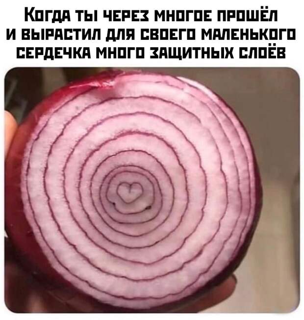 www.vsyako.net