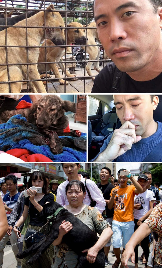This Man Saved 1000 Dogs From Yulin Meat Festival Despite Being Beaten For This