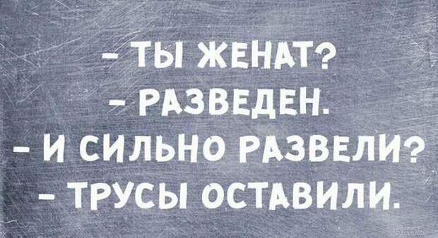 Несколько наполненных юмором открыток о нашей жизни