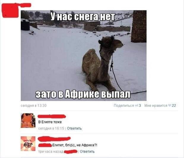 Смешные комментарии из соцсетей от 6M396llGoGRMC4w за 10 марта 2019 картинка, комментарии, переписка, прикол, смешное, соцсети