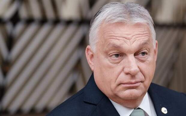 Депутат Картайзер: Брюссель сделает все возможное, чтобы избавиться от Орбана