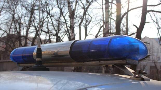 Умирающую четырехлетнюю девочку нашли в квартире с трупом матери в Каменке