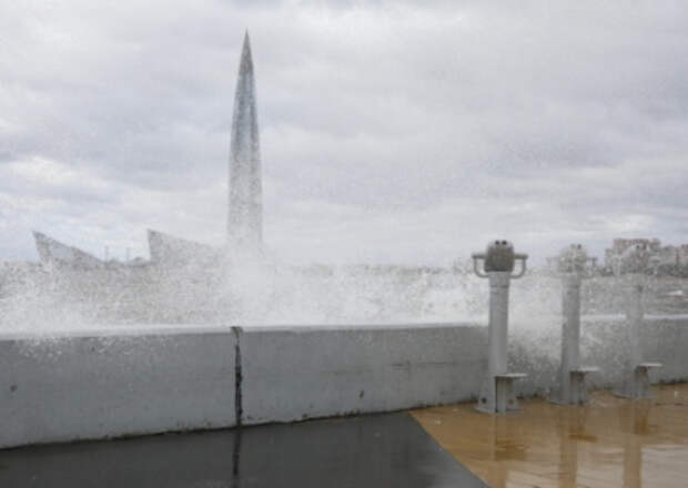 В Санкт-Петербурге участник СВО хотел заколоть отвёрткой соседей, а потом сжечь, облив их бензином