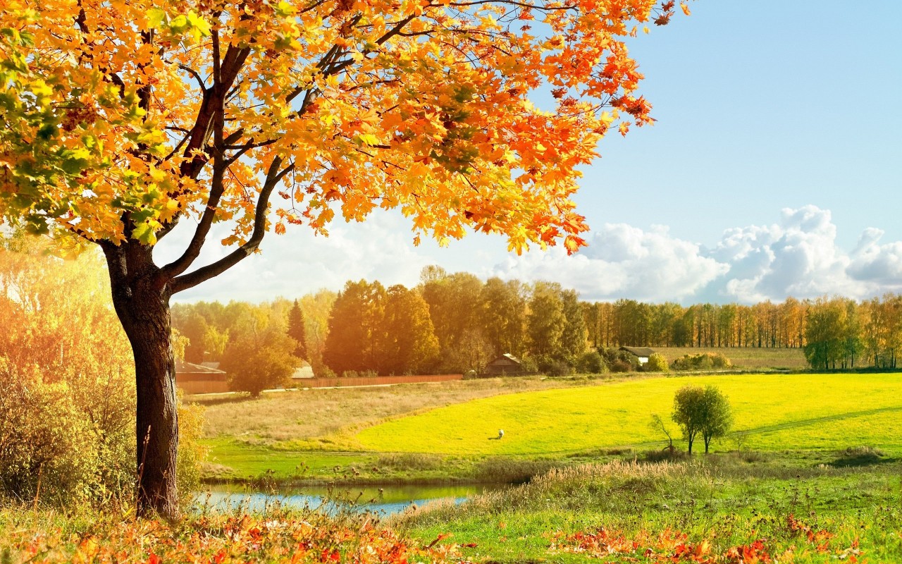 rabstol_net_autumn_48