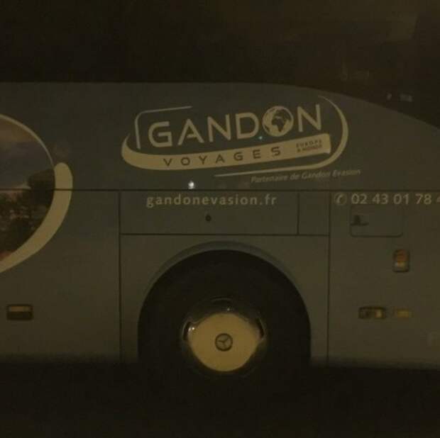 Gandon прикол, смехуёчки, школота веселится, юмор
