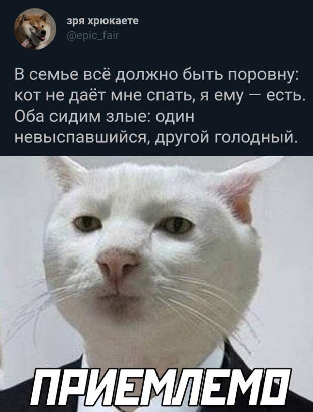 Смешные картинки вечер 9 июня 2021