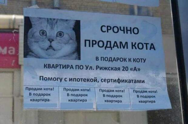 www.vsyako.net