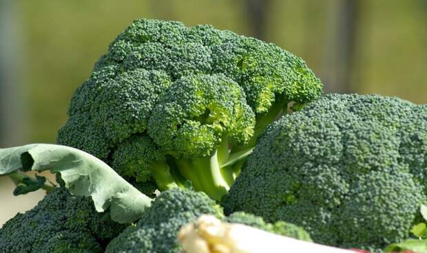 vegetables-673181_1280-1024x609 Растительные источники белка: развенчиваем миф о том, что вегетарианцам его не хватает