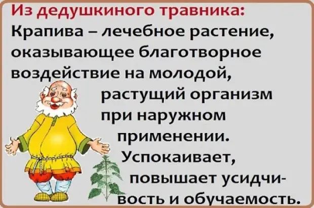 На рынке в мясной павильон входит женщина, гружёная сумками...