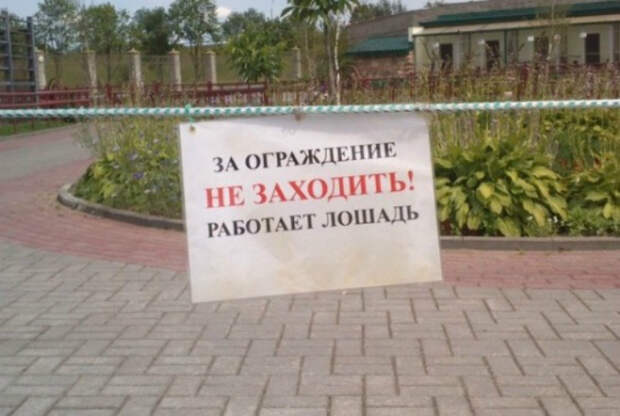 Лошадь в деле. Лошадь в деле.