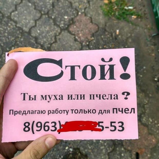 Работа для насекомых. 18 юмористических снимков о дискриминации в чистом виде