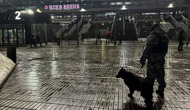 Правопорядок на хоккейном матче в Москве обеспечила Росгвардия