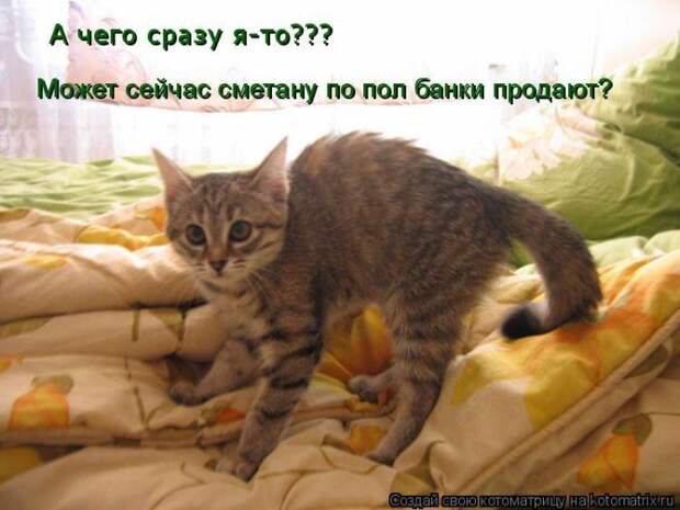 Мысли вслух :)