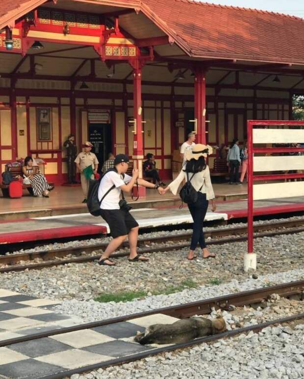 Фоллоу ми девушки, отношения, парни, парни фотографируют девушек, прикол, фото, юмор