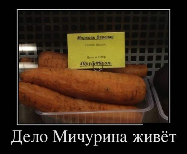Демотиваторы (30 фото)