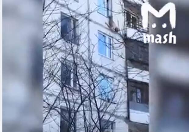 Москвичка пыталась выброситься из окна, но зацепилась ногой за батарею (ВИДЕО)