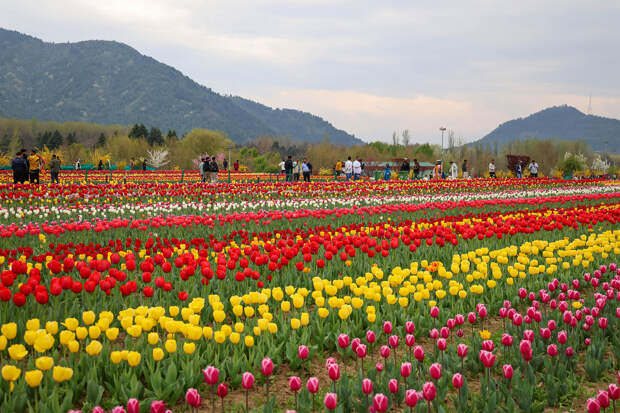 Безвиз для туристических групп в Индию описали словами «бума не вызовет»