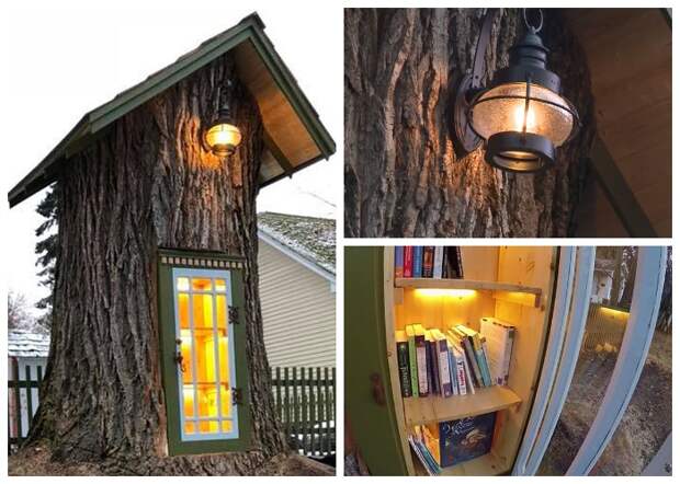 В необычной библиотеке в старом дереве есть даже электричество (Little Free Library, Кер-д'Ален).