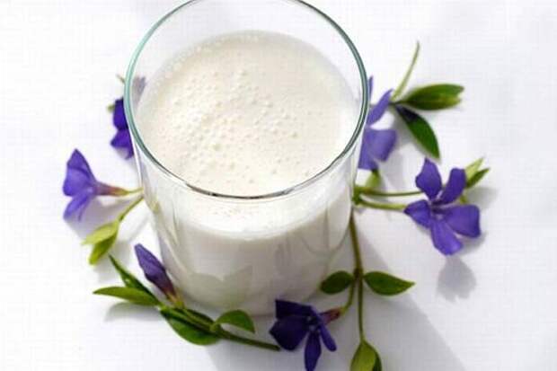 kefir (600x400, 19Kb)