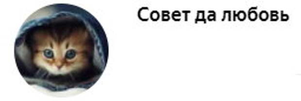«ДОСТОЯНИЕ РЕСПУБЛИКИ». Два таланта на одной съемочной площадке. Как Андрей Миронов и Олег Табаков соперничали в жизни и в кино