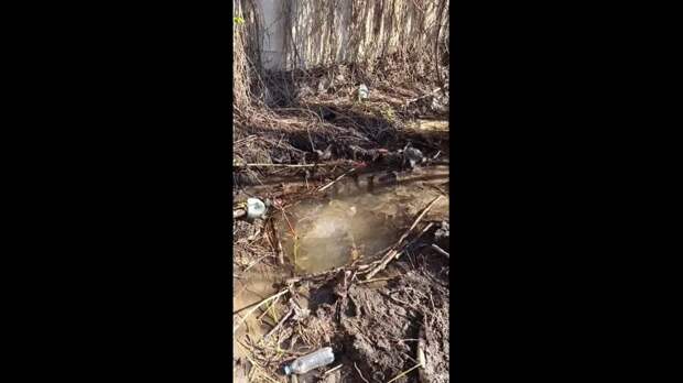 Video: Видео от Донецкая группа новостей|Донецк.ДНР
