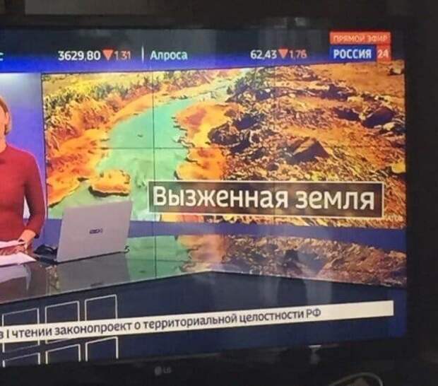 Вызженная, заезженная, переезженная