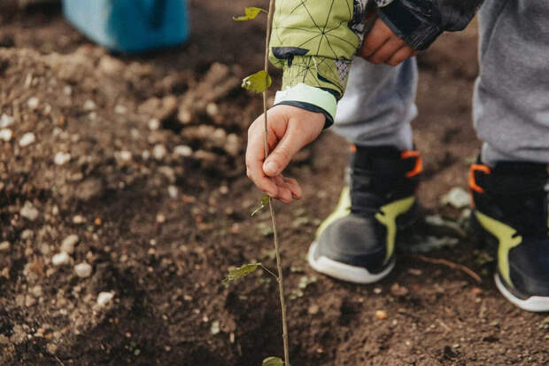 Посвященная героям ВОВ и спецоперации акция "Сад памяти" началась в Севастополе