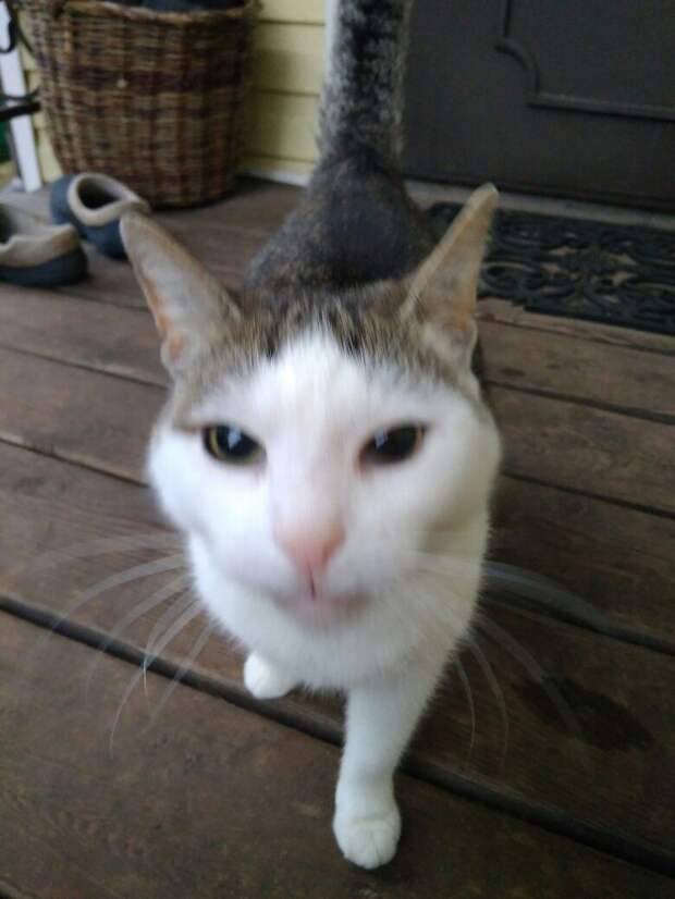 TGTRjP8OMuk