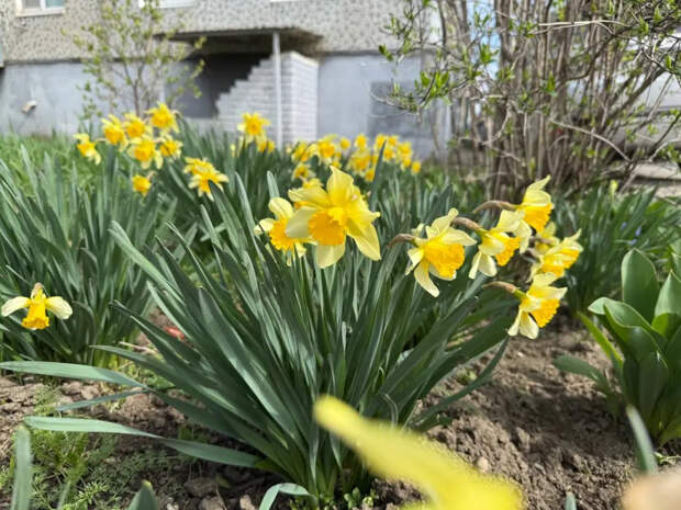 Апрель удивит теплом, май порадует, лето не подведёт: подробный прогноз от ведущего синоптика