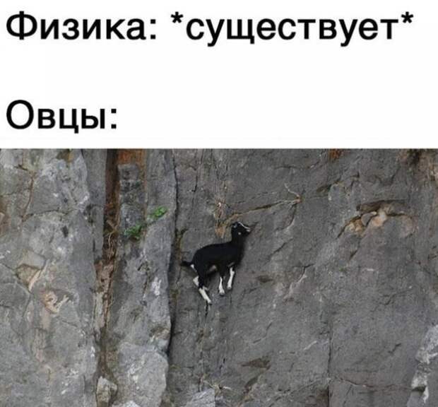 Весёлые