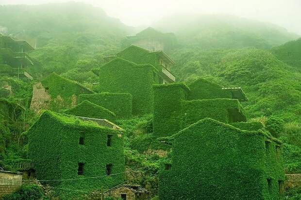 Деревня, проигравшая схватку с природой китай, хоббит, фотография, необычное, лучшее, растения, красота, длиннопост