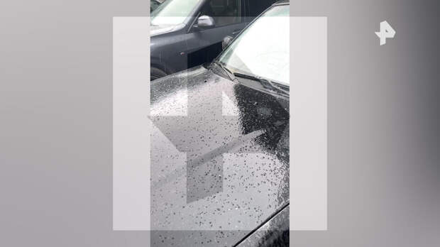 В Москве выпал град